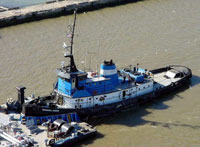 The Barbara Andrie