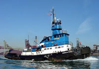 The Rebecca Lynn